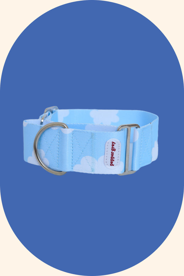 The Heemung Collar, sky blue greyhound martingale collar with clouds