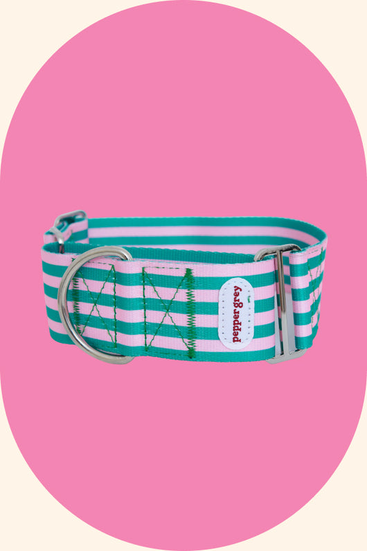 The Jupiter Collar, pink and green stripes greyhound martingale collar