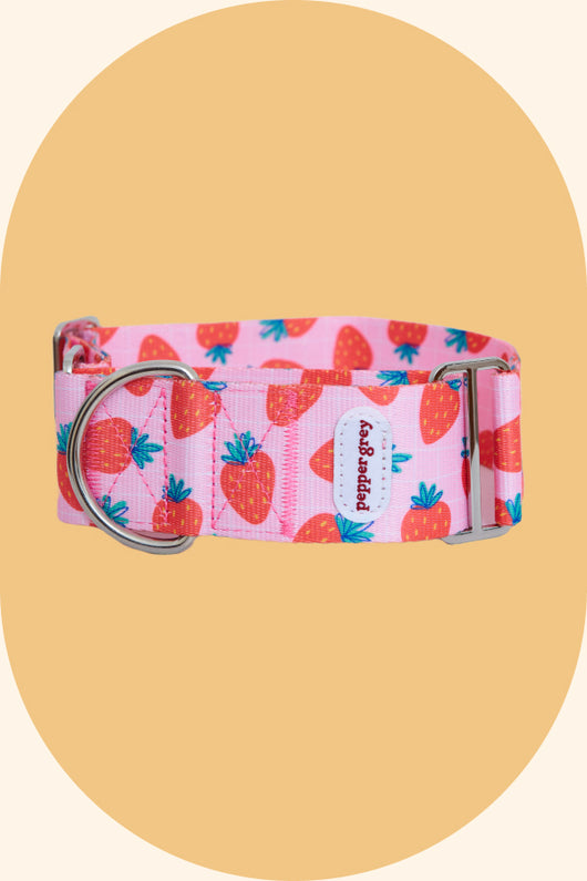 The Nika Collar, pink with strawberries greyhound martingale collar