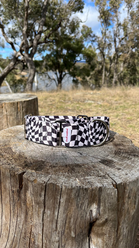 The Dom Collar, black & white wavy checker greyhound martingale collar