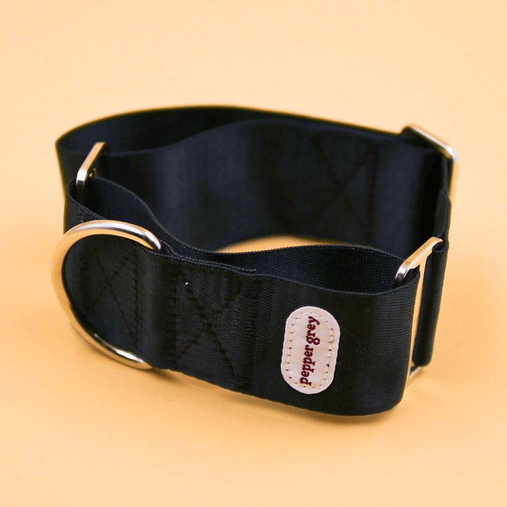Classic Black Collar, black greyhound martingale collar