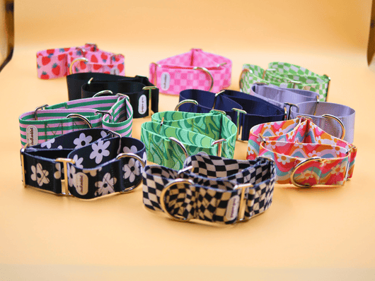 Greyhound martingale collars