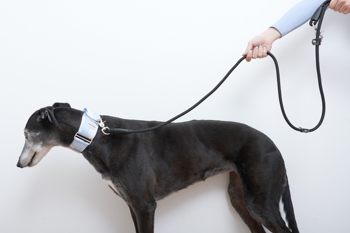 Greyt Multi-function Rope Leash 2m, black greyhound leash
