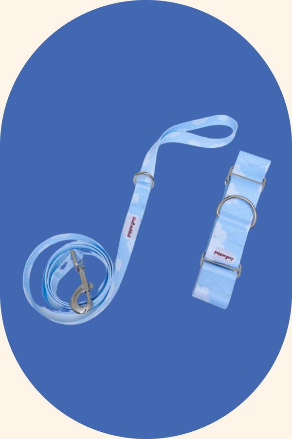 The Heemung Collar and Cloud Leash Matching Set