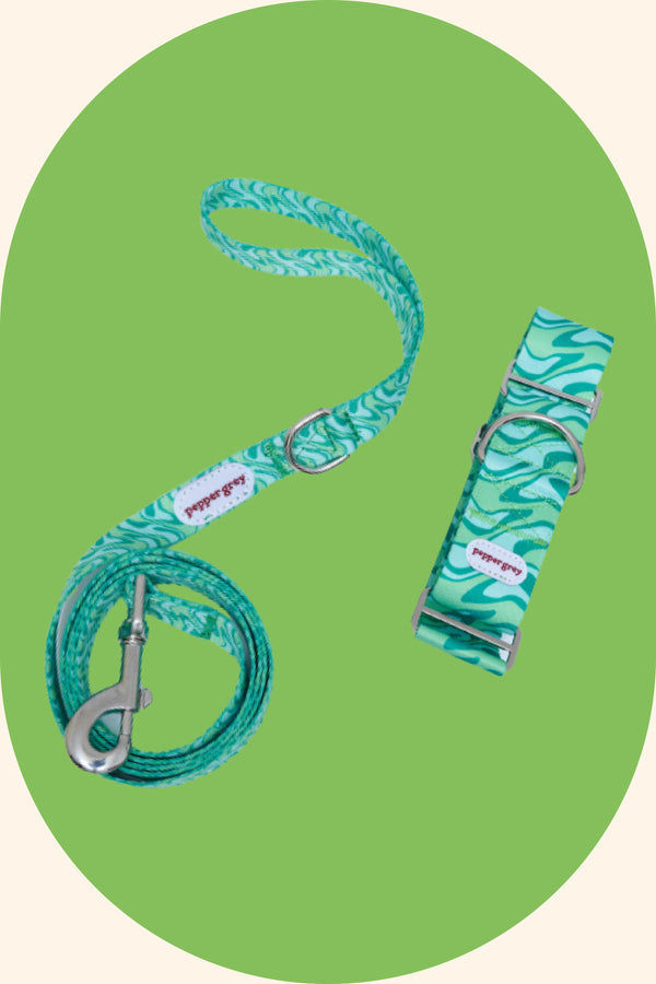 The Suki Collar and Green Retro Leash Matching Set