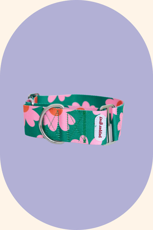 Summer Flowers Martingale Collar