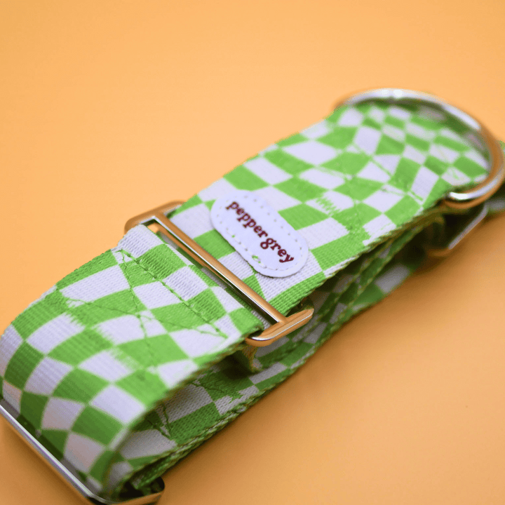 The Cookie Collar, green & white check greyhound martingale collar