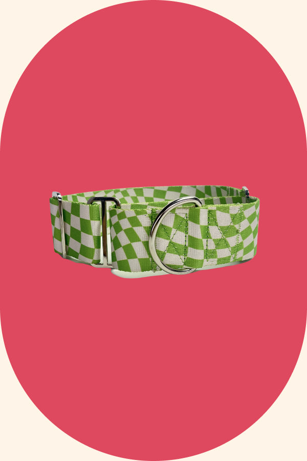 The Cookie Collar, green & white check greyhound martingale collar
