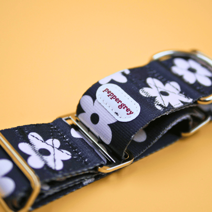 The Daisy Collar, black with white daisies greyhound martingale collar