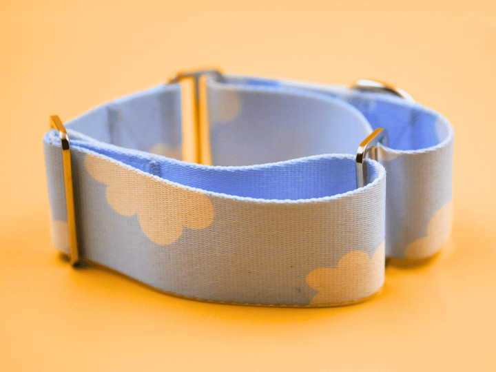 The Heemung Collar, sky blue greyhound martingale collar with clouds