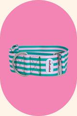 The Jupiter Martingale Collar