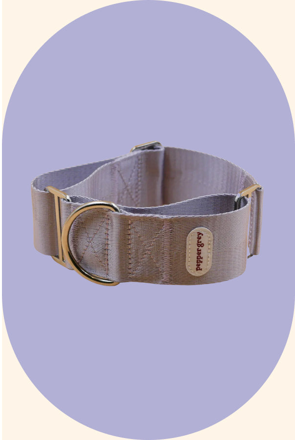 The Lilac Collar, classic lilac greyhound martingale collar