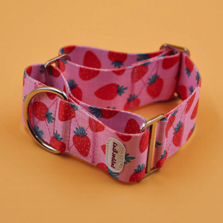 The Nika Collar, pink with strawberries greyhound martingale collar