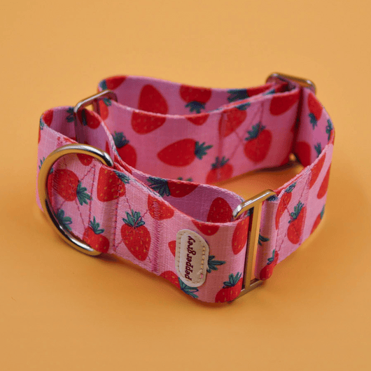 The Nika Collar, pink with strawberries greyhound martingale collar