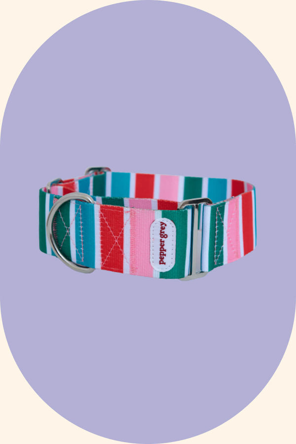 Candy Stripe Martingale Collar