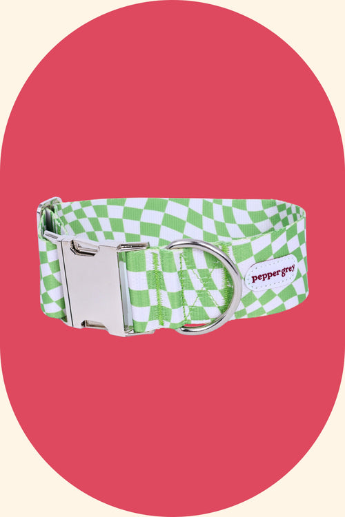 Cookie Wavy Check Wide Dog Collar with Buckle