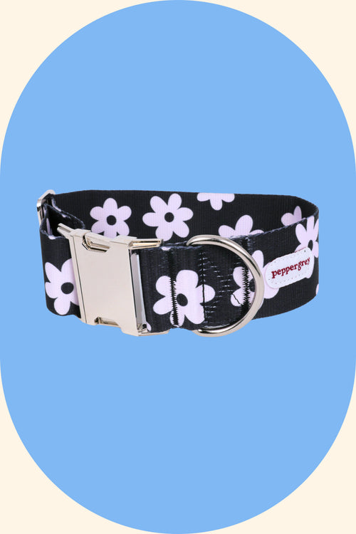 Daisy Flowers Wide Dog Collar with Buckle