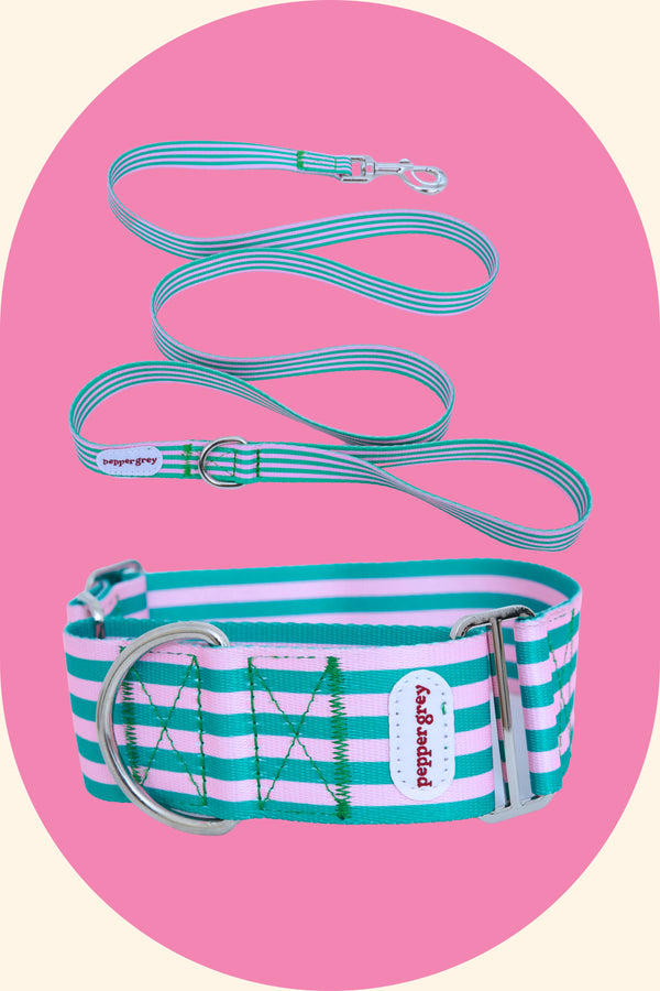 The Jupiter Collar and Stripe Leash Matching Set
