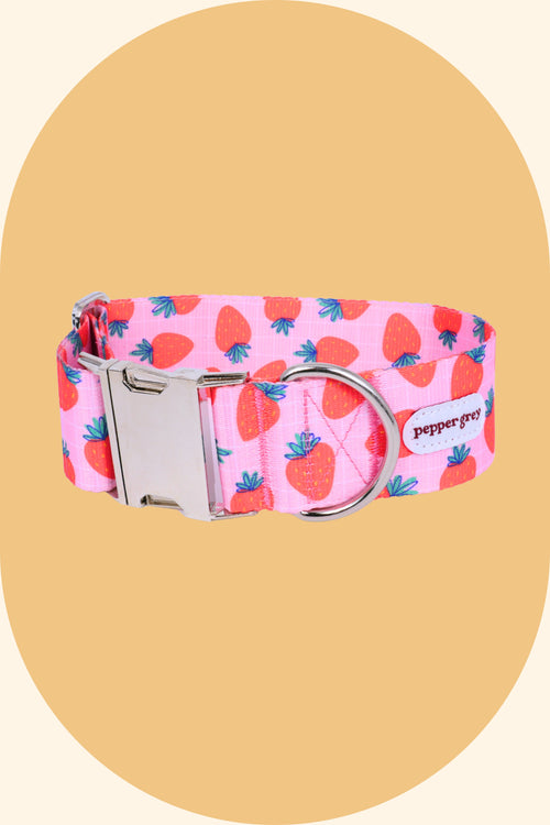 Nika Strawberry Wide Dog Collar with Buckle