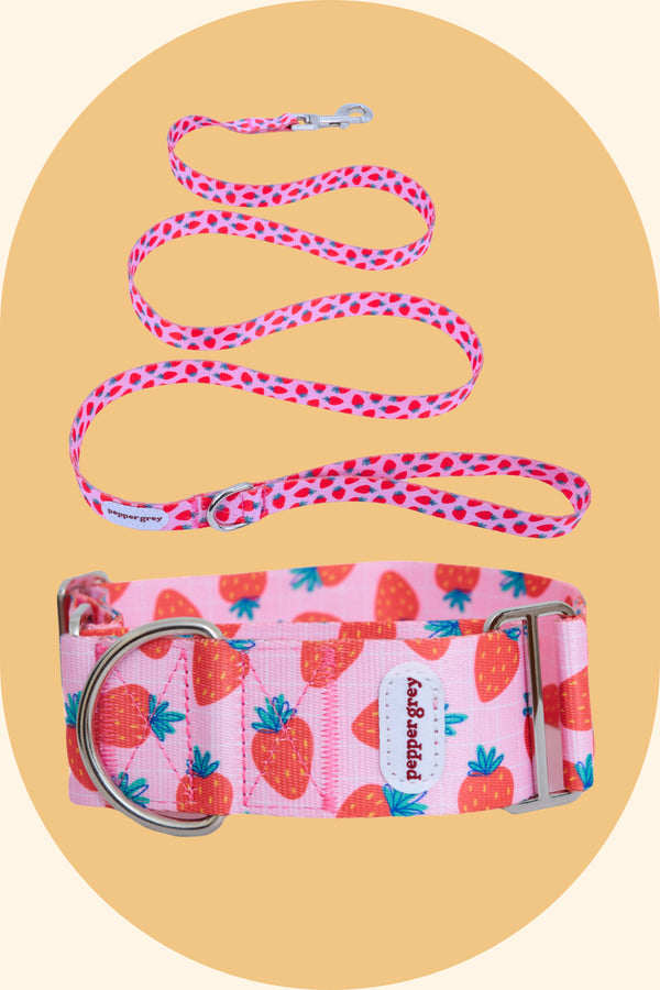 The Nika Collar and Strawberry Leash Matching Set