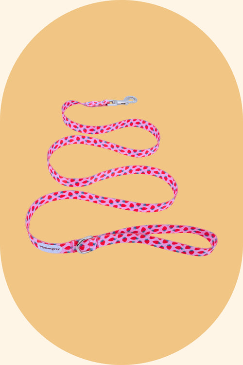 Nika Strawberry Leash (1.5m)
