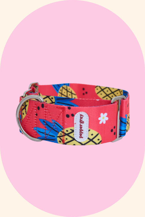 Spicy Pineapple Martingale Collar