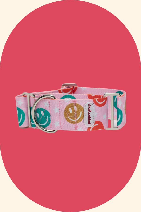 Smiley Christmas Martingale Collar