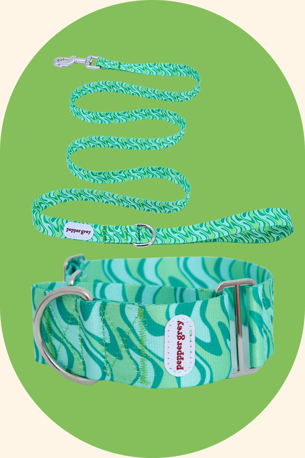 The Suki Collar and Green Wavy Retro Leash Matching Set