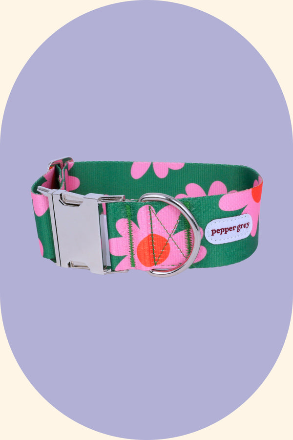 Summer Flowers Wide Dog Collar with Buckle