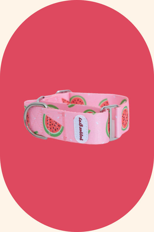 Watermelon Sugar Martingale Collar